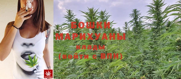 мет Белокуриха